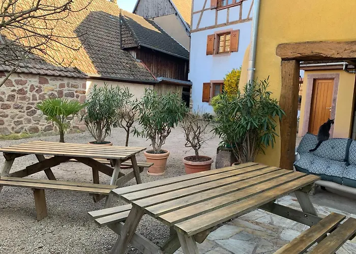 Chez Suzel